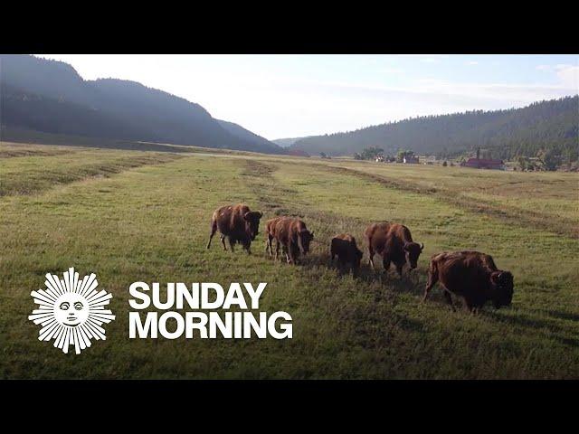 Ted Turner's nature preserves: A carefully curated "Heaven on Earth"