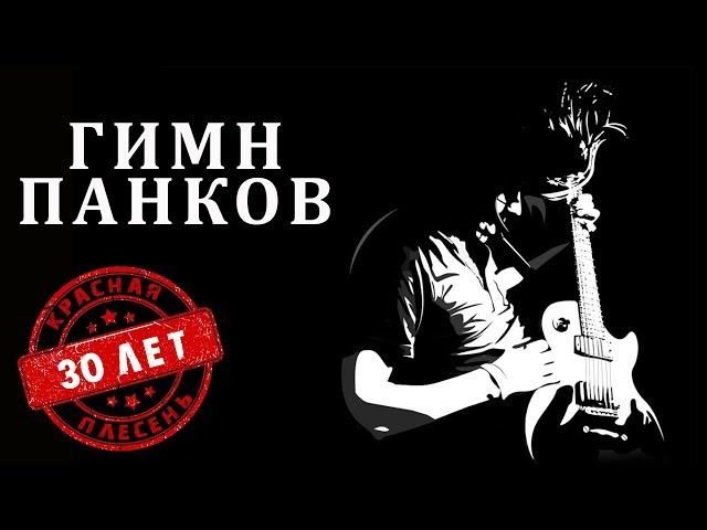 Красная Плесень - Гимн панков | Лучшие песни @kr.plesen