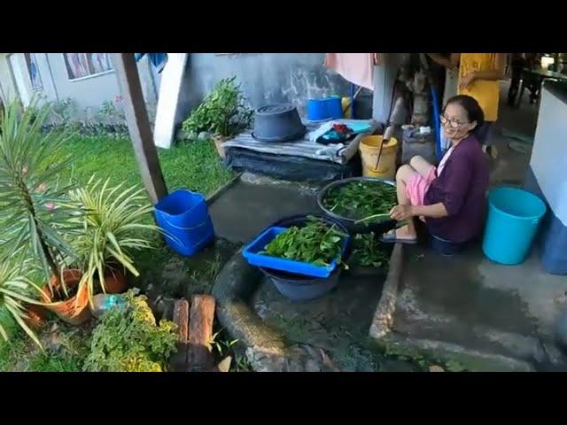 Alfredos Sunday Morning Harvest from his farm