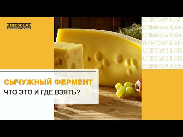 Все про сычужный фермент для приготовления домашнего сыра