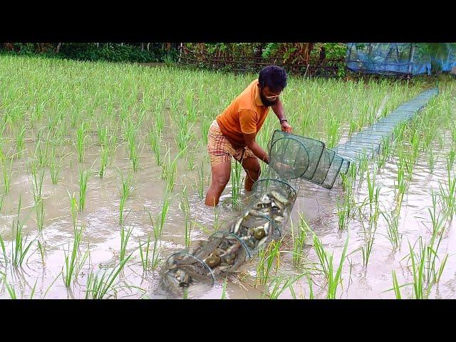 ভয়ঙ্কর 'চায়না দুয়ারী' জাল | যা থেকে রক্ষা পায় না ছোট বড় কোনো মাছ | Best Of China Net | ম্যাজিক জাল