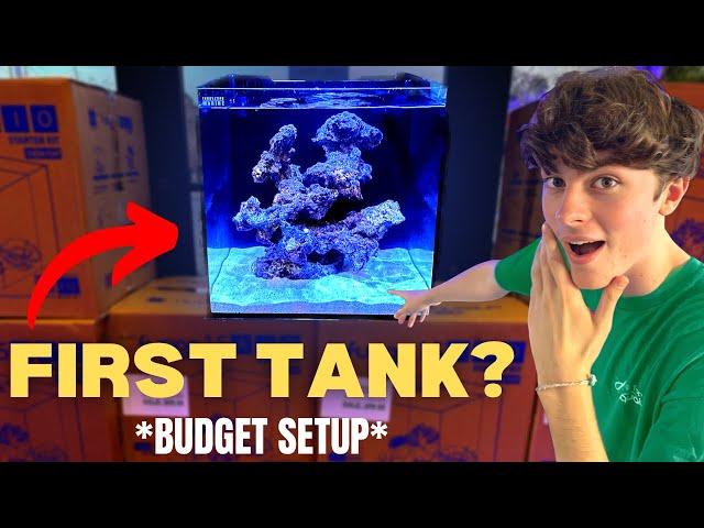 Beginner’s Guide to Setting Up YOUR FIRST SALTWATER AQUARIUM!! (On a Budget)