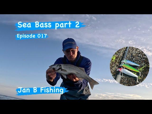 Sea Bass fishing. (part 2) Episode 017.