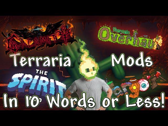 Terraria Mods Described With 10 Words or Less