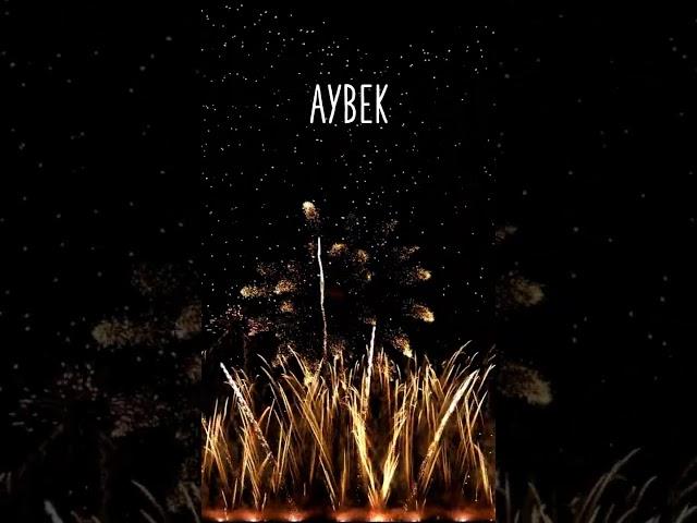 BON ANNIVERSAIRE AYBEK !