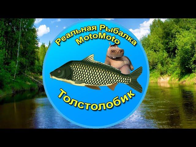 Как поймать Толстолобика на Лесной реке [NEW] | Реальная Рыбалка