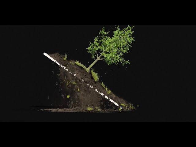 Houdini 16.5 Tree/Soil Wedges