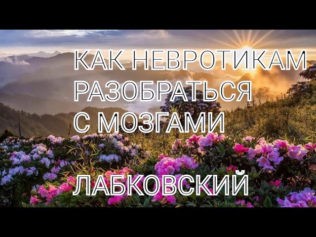 КАК НЕВРОТИКАМ РАЗОБРАТЬСЯ С МОЗГАМИ