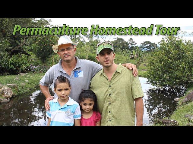 Costa Rican Permaculture Homestead Tour Part 1