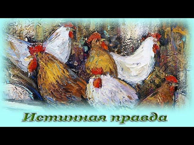 "Истинная правда" - Аудио сказка для детей (Г. Х. Андерсен)