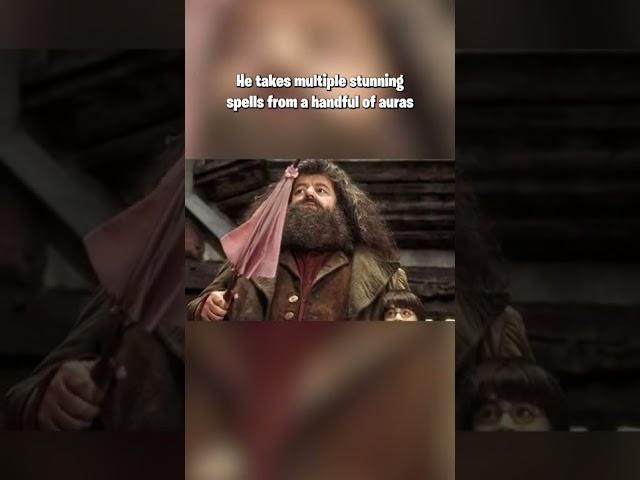 How powerful is Hagrid? #shorts