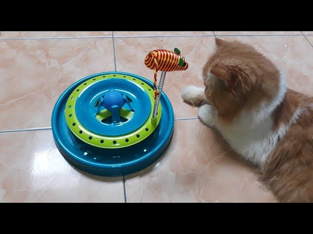 [Unboxing] CAT SCRATCH PAN (MAINAN KUCING)