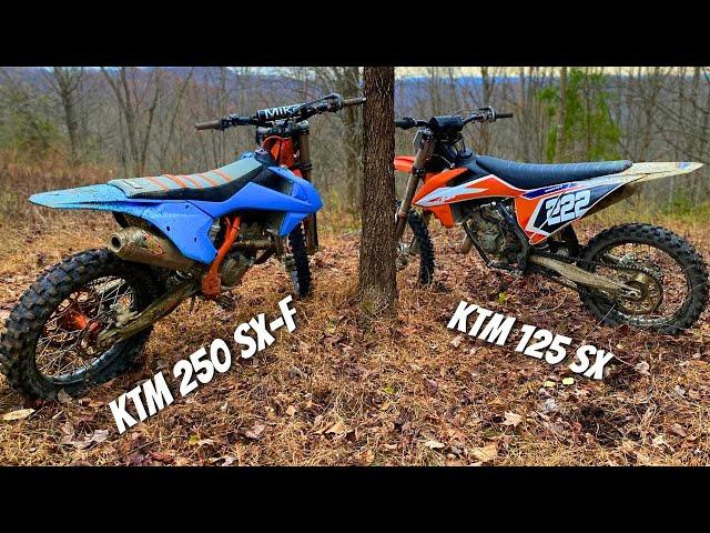 Race bikes in the WOODS 