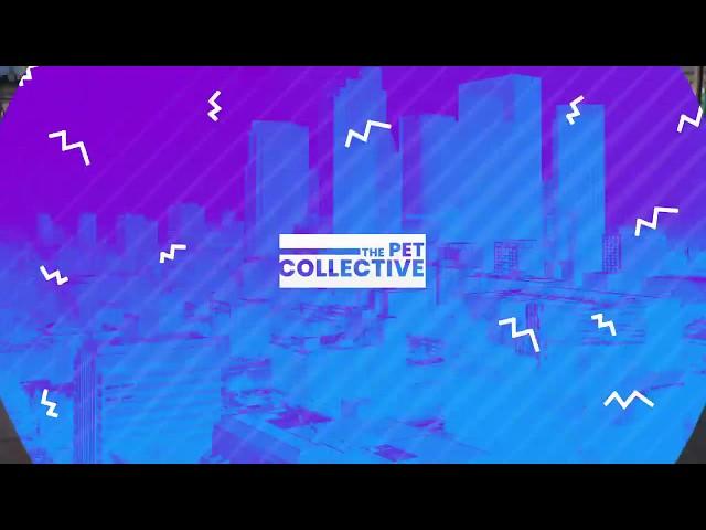 The Pet Collective (Trailer) | Pluto TV GSA