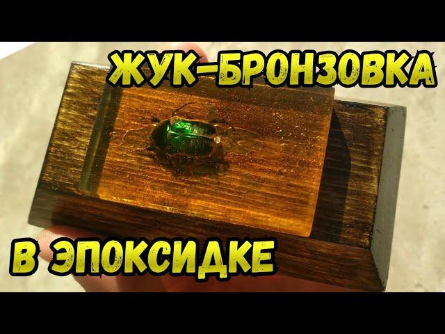 Жук в Эпоксидной Смоле на Подставке [DIY]