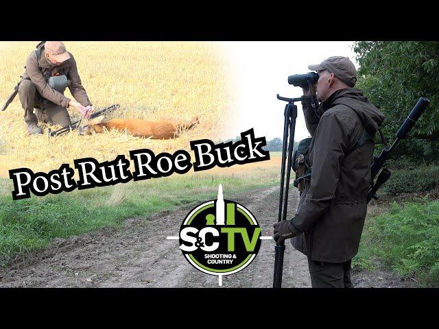 S&C TV | Post Rut Roe Buck | Deer management with Chris Rogers 34