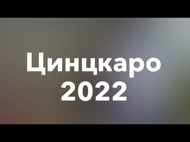 Цинцкаро Грузия 15 Августа 2022