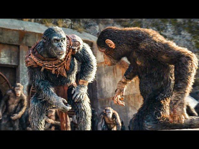 KINGDOM OF THE PLANET OF THE APES All Movie Clips (2024)