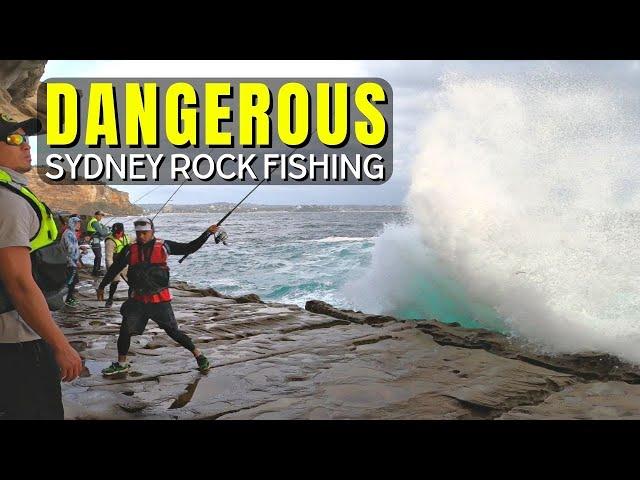 Dangerous Sydney Rock Fishing