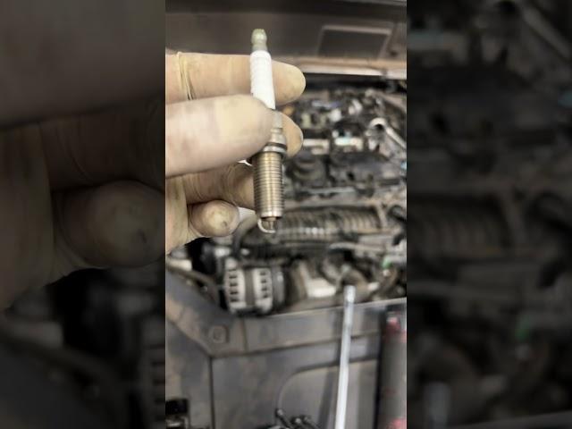 Customer Has Misfire After Replacing Spark Plugs ️ #mechanic #sparkplug #engine