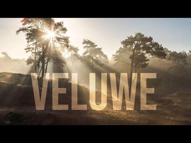 De Veluwe - Timelapse 4K