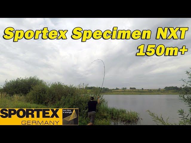 Sportex Specimen NXT. Середнячок для 150м+