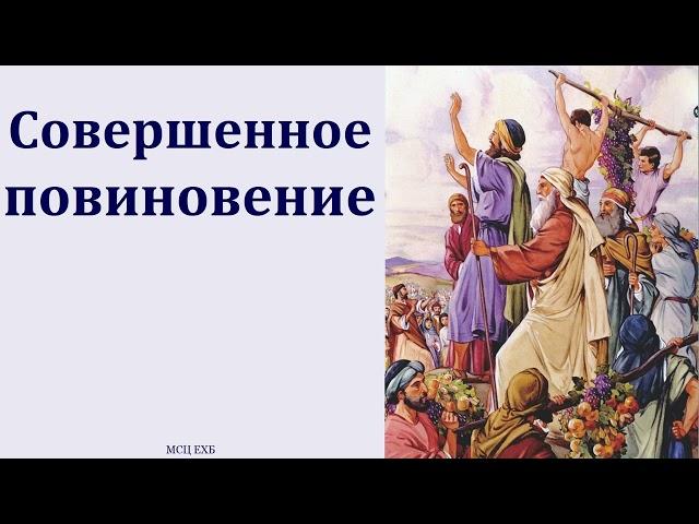 "Послушание и повиновение". П. И. Ткаченко. МСЦ ЕХБ