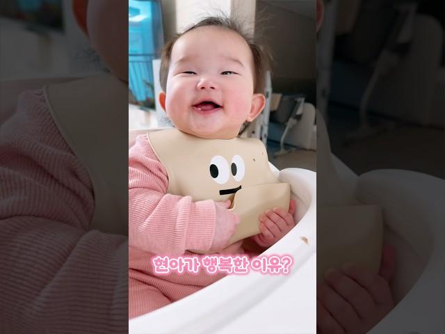 띠용이 일상