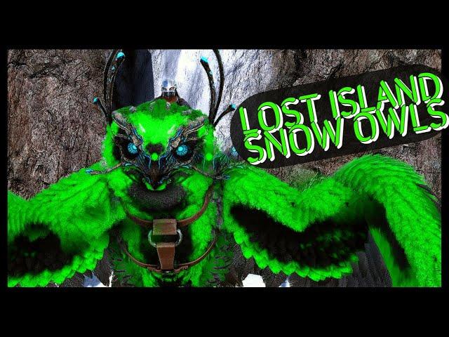 LOST ISLAND SNOW OWLS ONLY LOCATION | ARK SURVIVAL EVOLVED