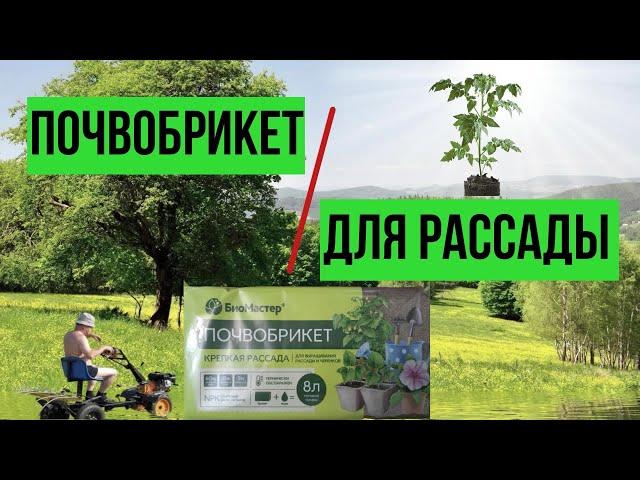 Брикет для рассады
