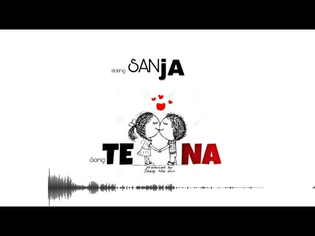 SANJA BOY - TENA - official audio