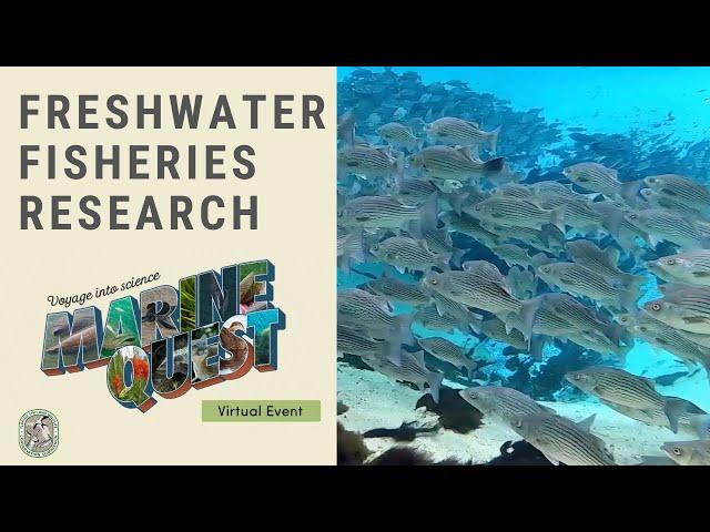 Marine Quest 2020: Freshwater Fisheries Research