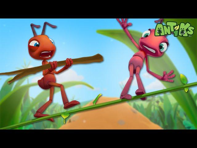 High Wire Act |  Antiks & Insectibles  | Funny Cartoons for Kids | Moonbug