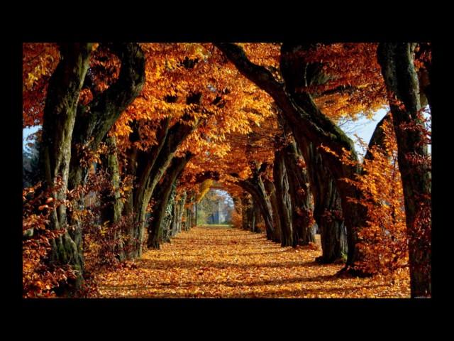 Ciprian Stancioi -Poulenc sonata 2nd movt
