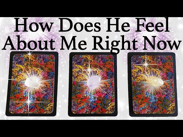 WHAT DOES HE/SHE THINK AND FEEL ABOUT ME RIGHT NOW?| Pick A Card | Love Tarot Reading (Timeless)