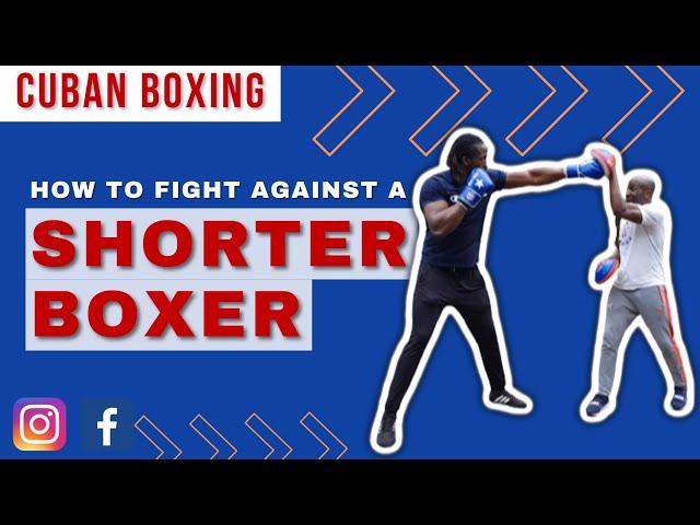 CUBAN BOXING: How to fight against a SHORTER BOXER!!!