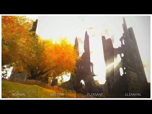 How To Make Guild Wars Look Amazing | ReShade Presets + Tweaks