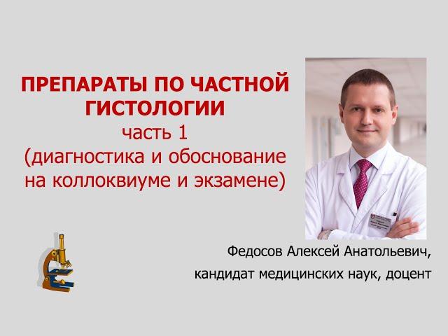 ПРЕПАРАТЫ ПО ЧАСТНОЙ ГИСТОЛОГИИ. Ч. 1 (диагностика и обоснование на коллоквиуме и экзамене)