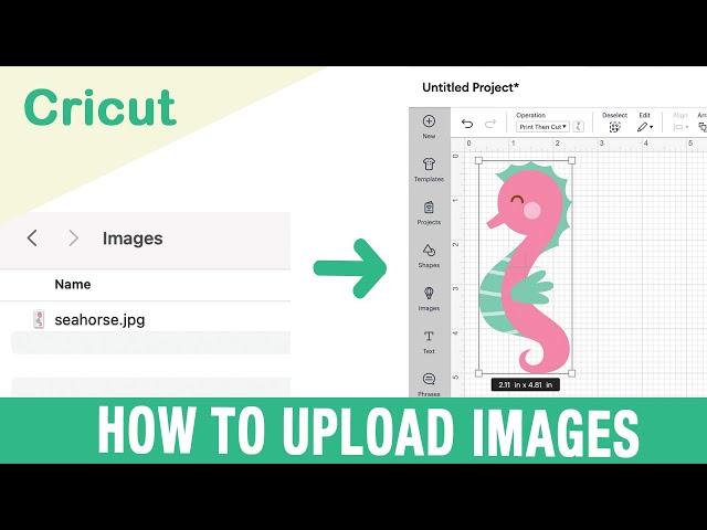 How to Upload an Image into Cricut Design Space | Beginner Design Space Tutorials