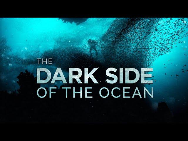 The Dark Side of the Ocean | 4K |