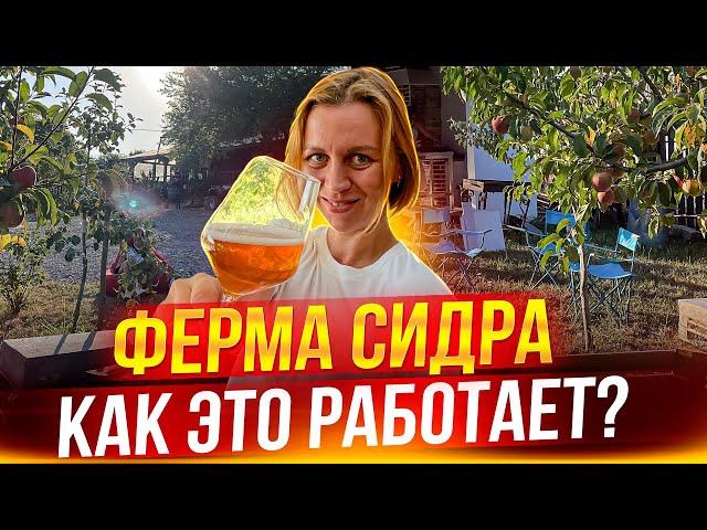 ФЕРМА СИДРА. Как делают НАСТОЯЩИЙ КРАФТОВЫЙ СИДР? Стоимость, методы и секреты производства.