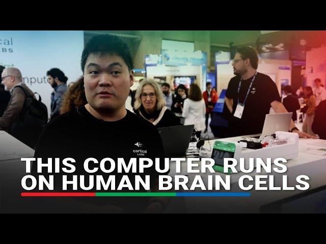 World's first computer running on living human brain cells | ABS CBN News