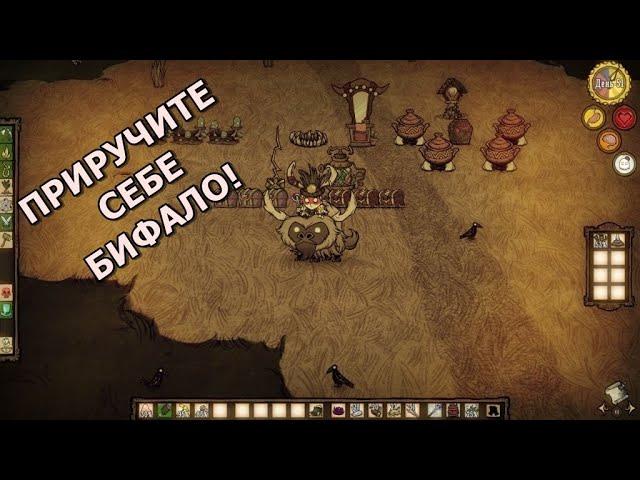 Гайд по приручению бифало. Don't Starve Together