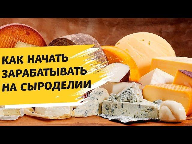 Производство сыра: как начать свой бизнес? Инструкция по открытию сыроварни