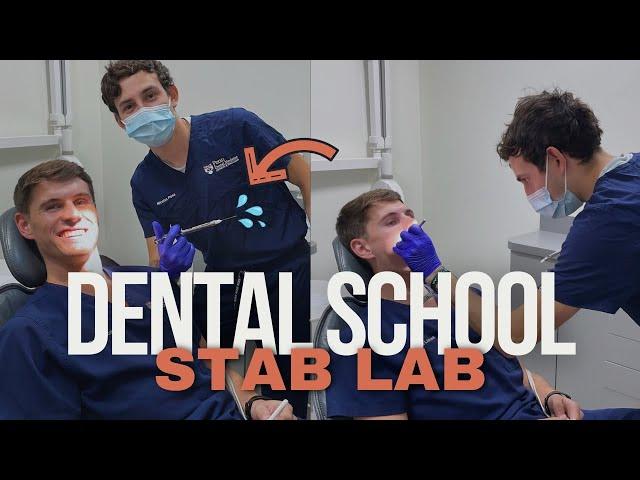 Dental School VLOG #6 | Stab Lab! First Time Injecting Classmates!