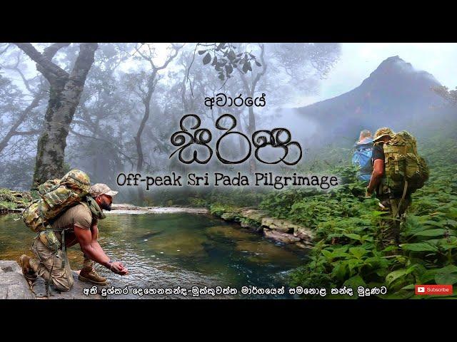 අවාරේ සිරිපා | Off season Sripada hiking | දෙහෙනකන්ද මූක්කුවත්ත හරහා කැලේ මැදින් කදු මුදුනට |#Aware