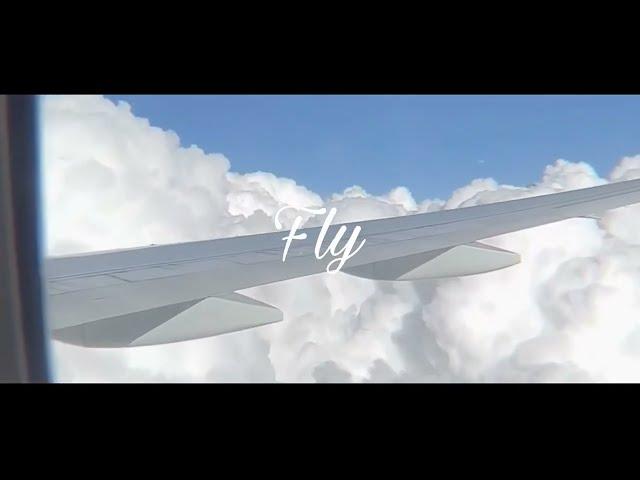 Adnino51 - Fly