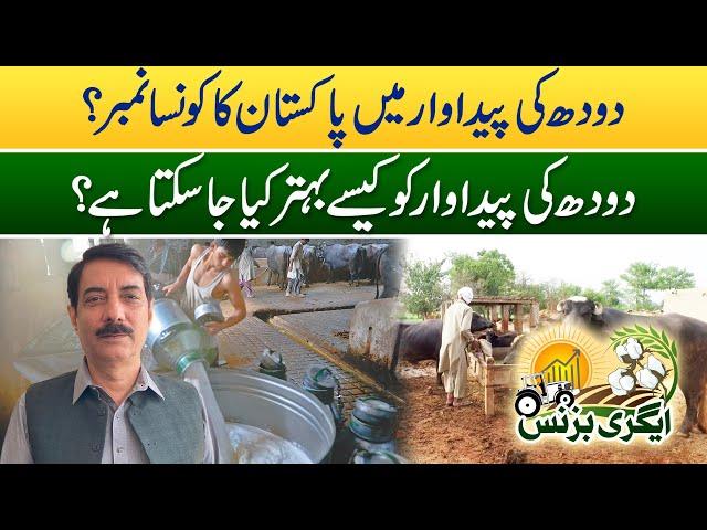 How Can Milk Production Be Improved? Agri Bussines | 27 Dec 2024 | Rohi