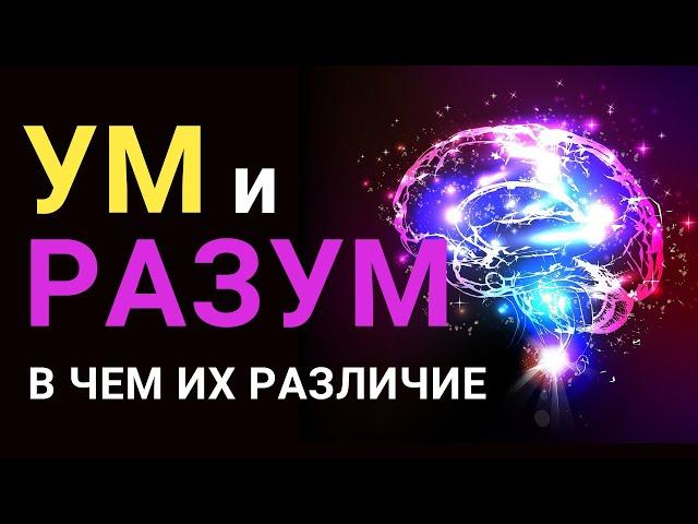 УМ и РАЗУМ  – в чём их разница? Чем отличаются эти понятия простыми словами