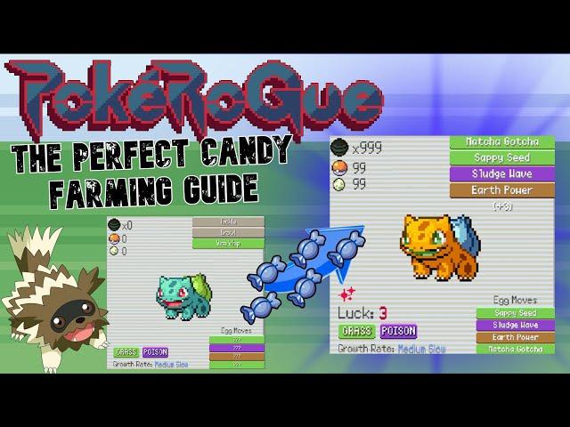 The Perfect PokeRogue Candy Farming Guide!!!